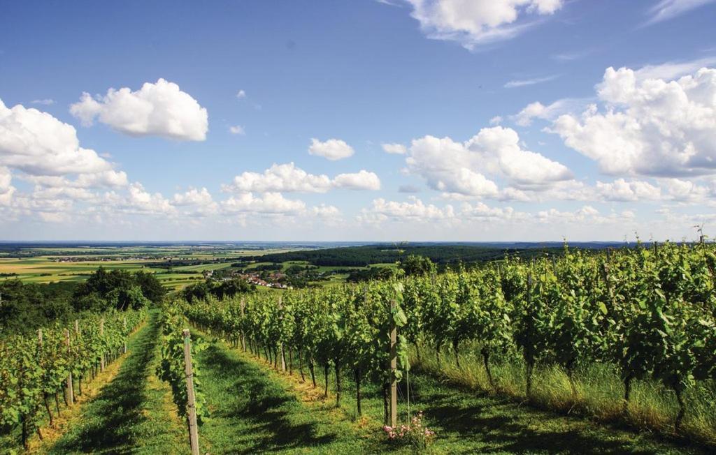 فيلا Kellerstoeckl Weinblick I Und II Eisenberg an der Pinka المظهر الخارجي الصورة