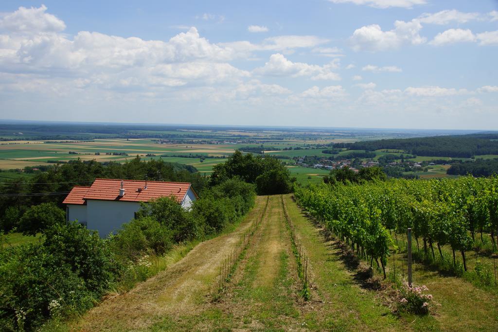 فيلا Kellerstoeckl Weinblick I Und II Eisenberg an der Pinka المظهر الخارجي الصورة